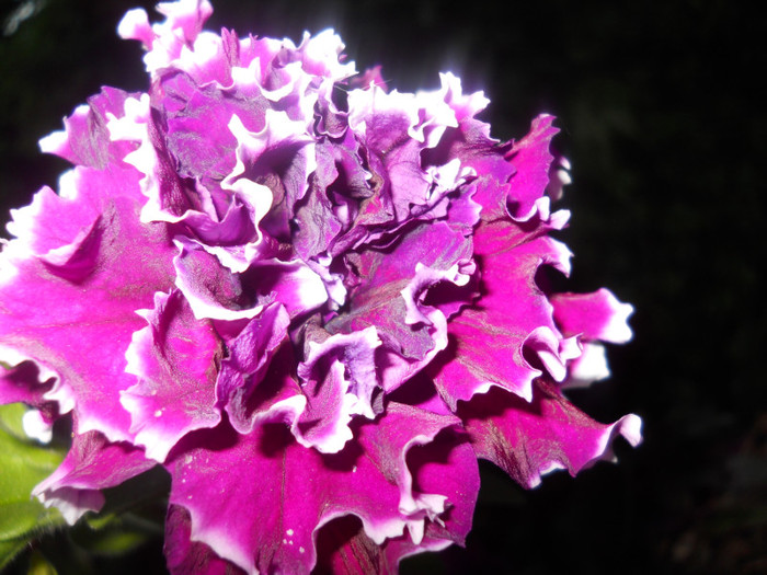 DSCN2902