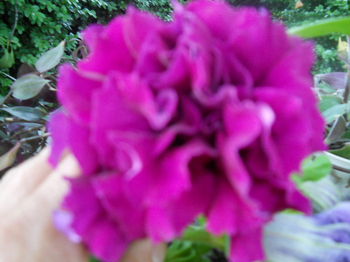 DSCN2903