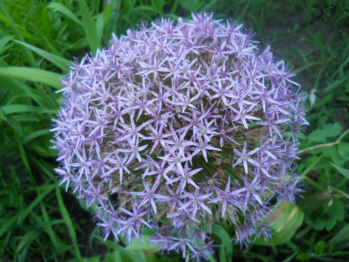 DSCN2915