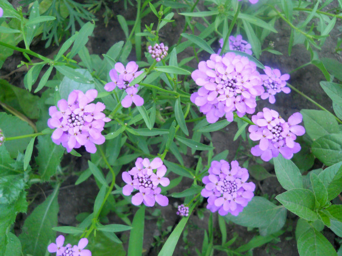 DSCN2941