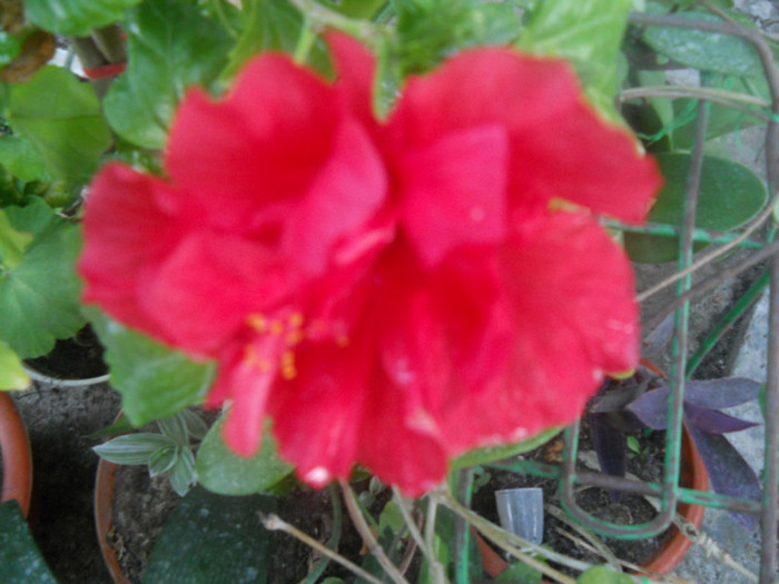 DSCN2965