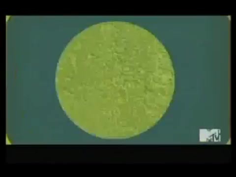 Demi Lovato Hosting MTVs 10 On Top 2874 - Demilush - Hosting MTVs 10 On Top Part oo4