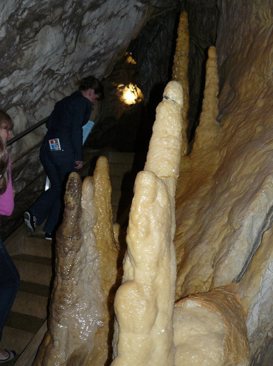 P1560117 - GROTTES de Vallorbe