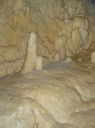 P1560132 - GROTTES de Vallorbe