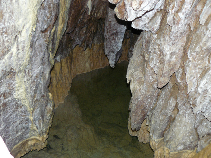 P1560158 - GROTTES de Vallorbe