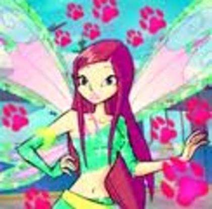 images (23) - winx roxy