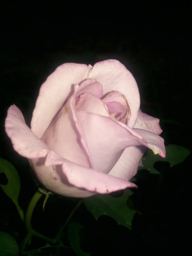 sissi; multumesc maryanne
