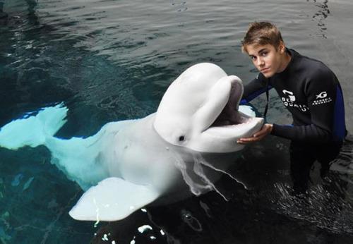 319354_236194613094477_117923871588219_641967_427102462_n - Justin Bieber 5