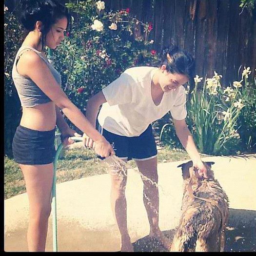 540069_362495790483285_157338250_n