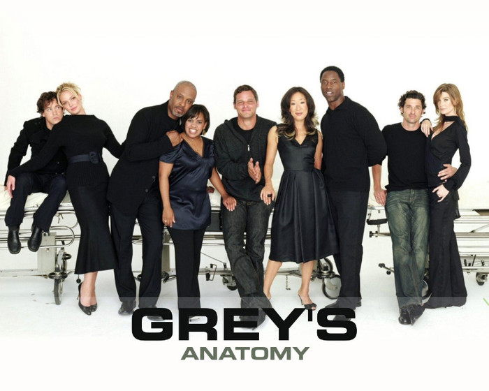 Greys anatomy 1