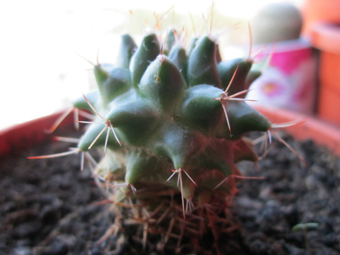 Multumesc domnului Nevezi!