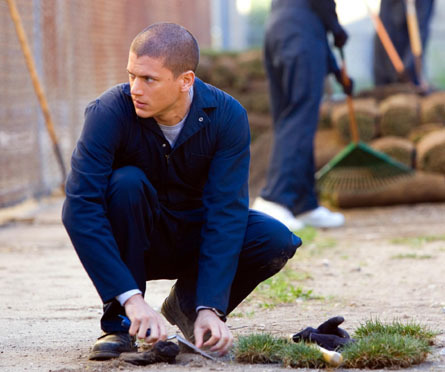 Michael Scofield (12)