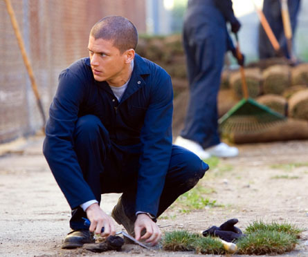 Michael Scofield (12) - Michael Scofield