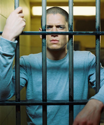 Michael Scofield (15)