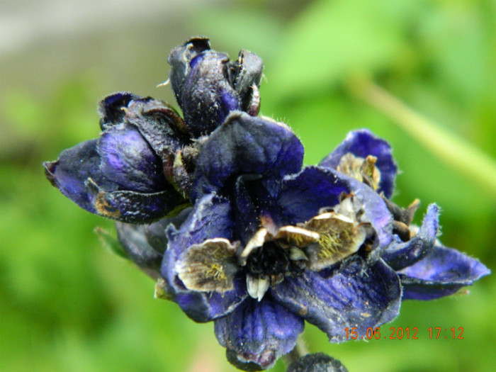 nemtisor - COMANDA_STARKL_1