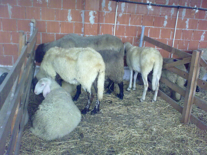 22062012541 - expo tm