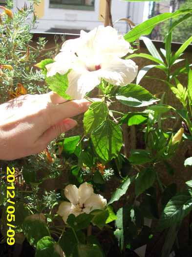 2012-04-01 496