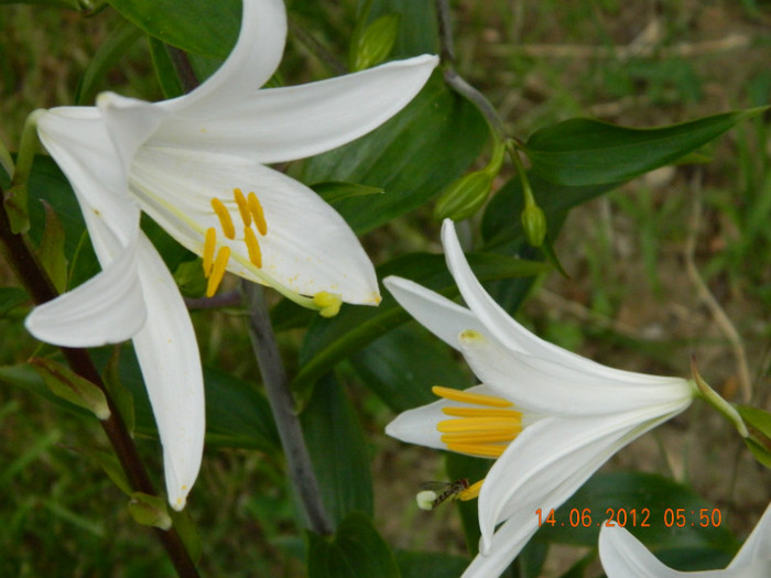 048 - 6_IUNIE