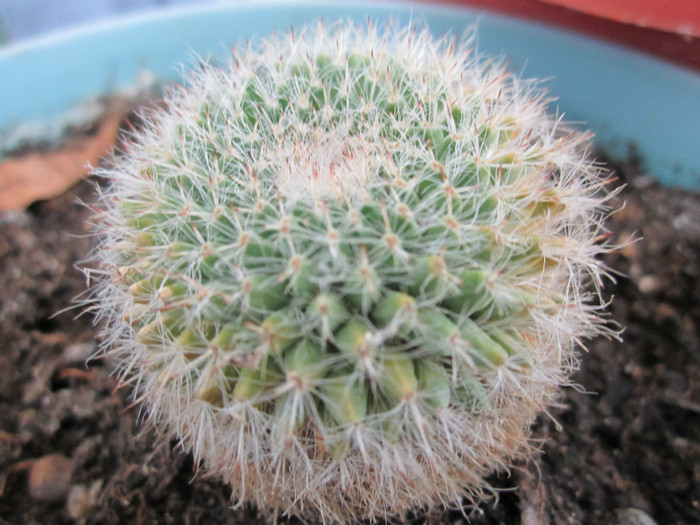 Multumesc domnului Nevezi!