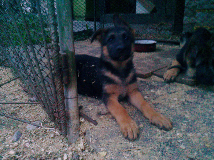 Fénykép0032 - 0 0 0 b 2012 Mai 18