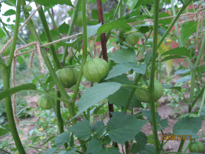 Picture 129 - 2012