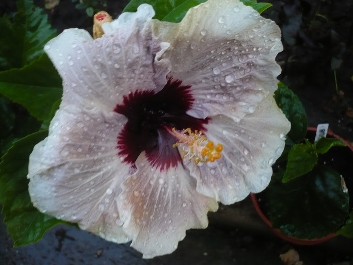 P1140912