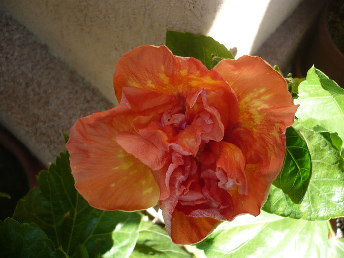 P1140945