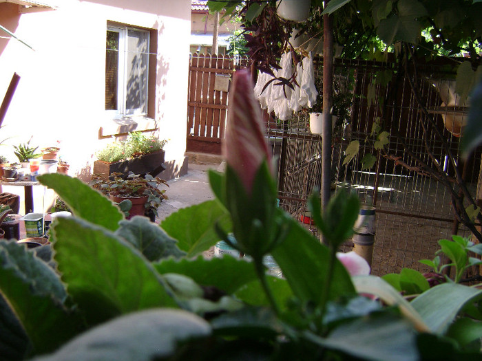 DSC08918