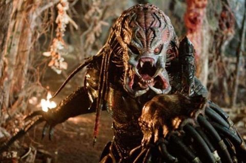 Predator 1 - Predator 1 1987