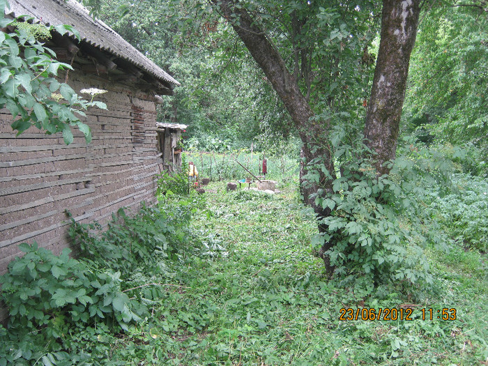 zona eliberata de buruieni - iunie 2012