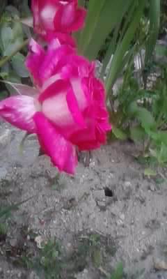 P150612_20.45_[01]