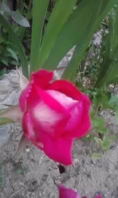P150612_20.45_[02]