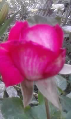 P150612_20.46_[01]