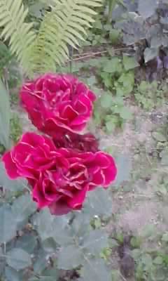 P180612_20.32_[01]