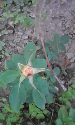 P180612_20.33_[03]