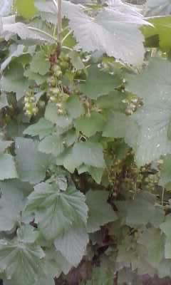 P180612_20.33_[05]