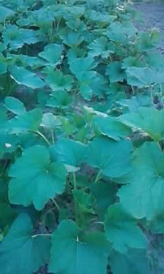 P180612_20.34_[01]