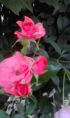 P180612_20.34_[02]