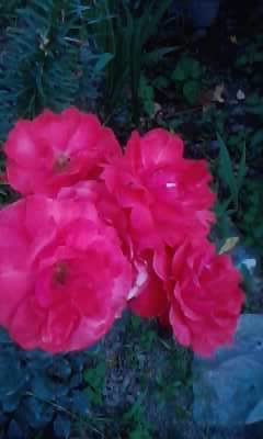 P180612_20.35_[01]