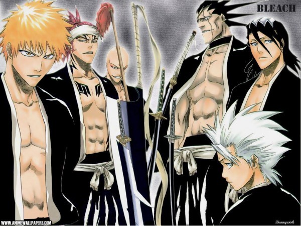 Bleach_1264687535_1_2004