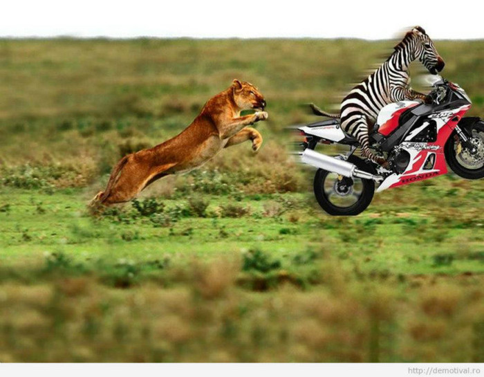 196102_249999851776846_756109051_n