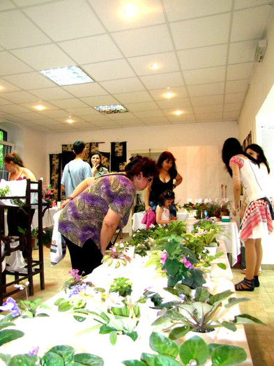 IMG_4197res - A 2012 - 11-13 Mai Expozitie e Violete Africane si alte Gesneriaceae- Bucuresti- Romania