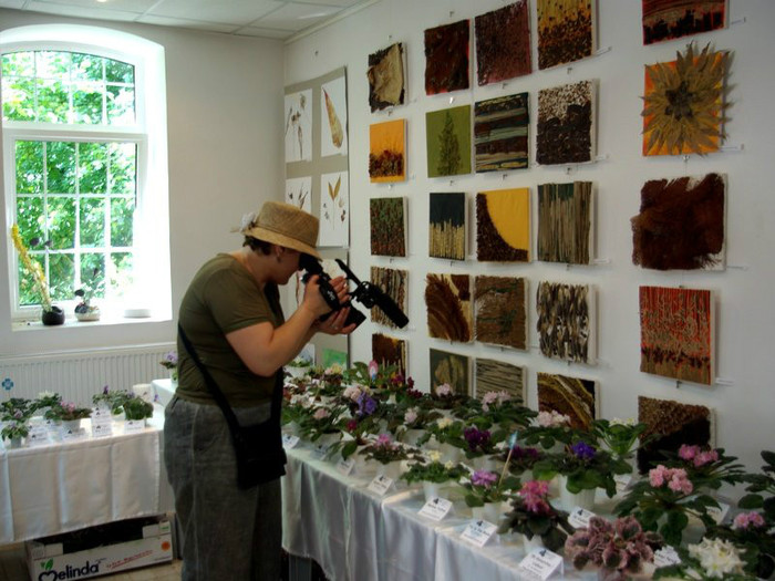 SG103820res - A 2012 - 11-13 Mai Expozitie e Violete Africane si alte Gesneriaceae- Bucuresti- Romania