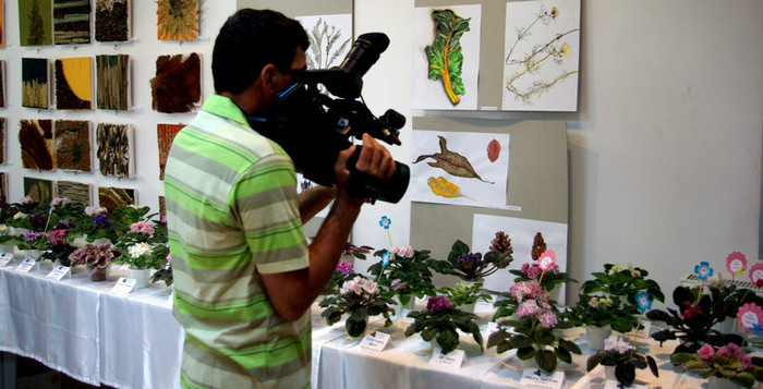 SG103823res - A 2012 - 11-13 Mai Expozitie e Violete Africane si alte Gesneriaceae- Bucuresti- Romania