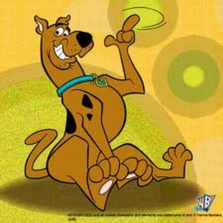 Scooby - Cine vrea sa fim prieteni