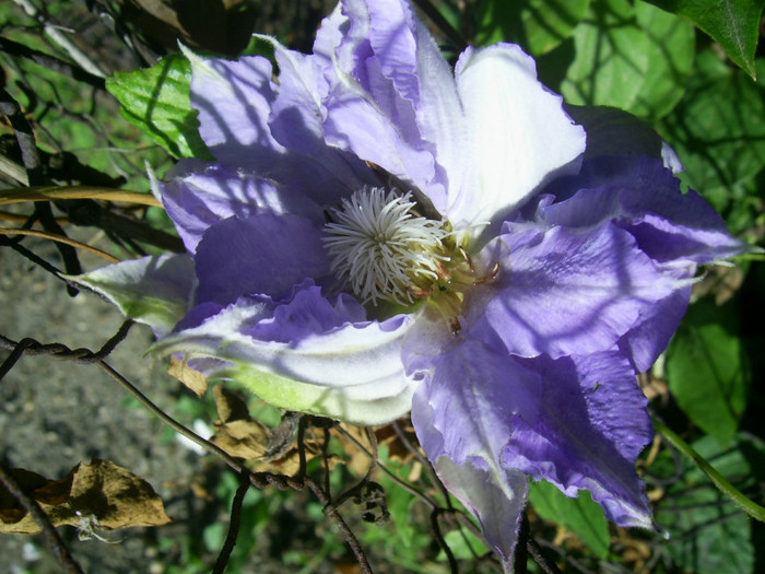 16-23.06.2012 (402) - Mazury