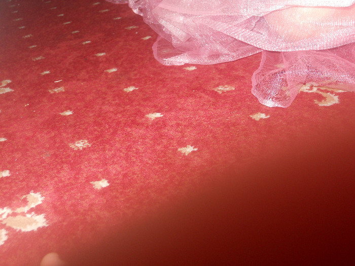 DSCN3890