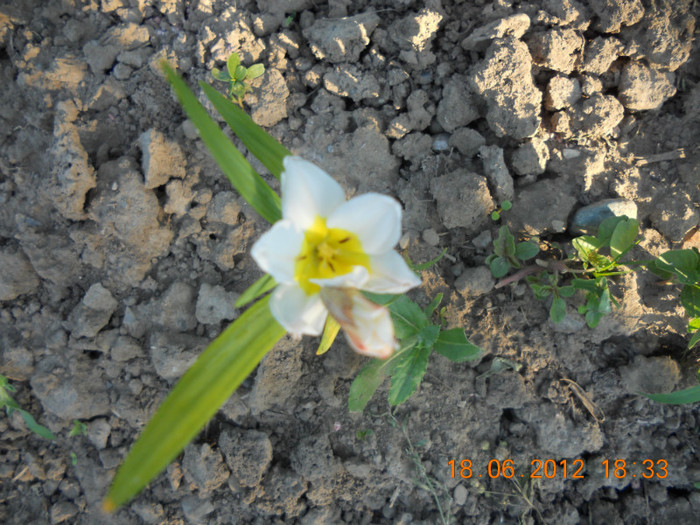 DSCN1459