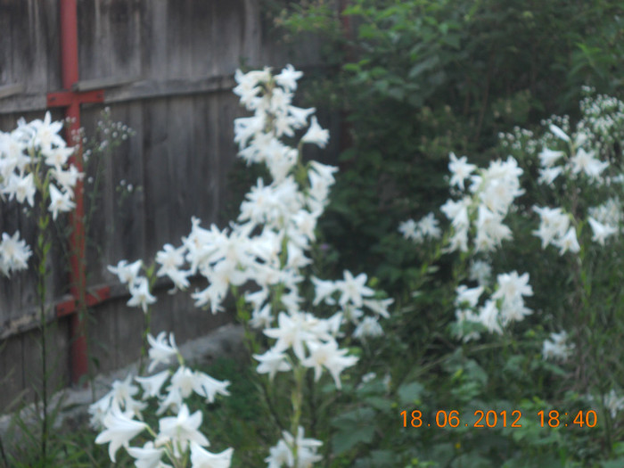 DSCN1477