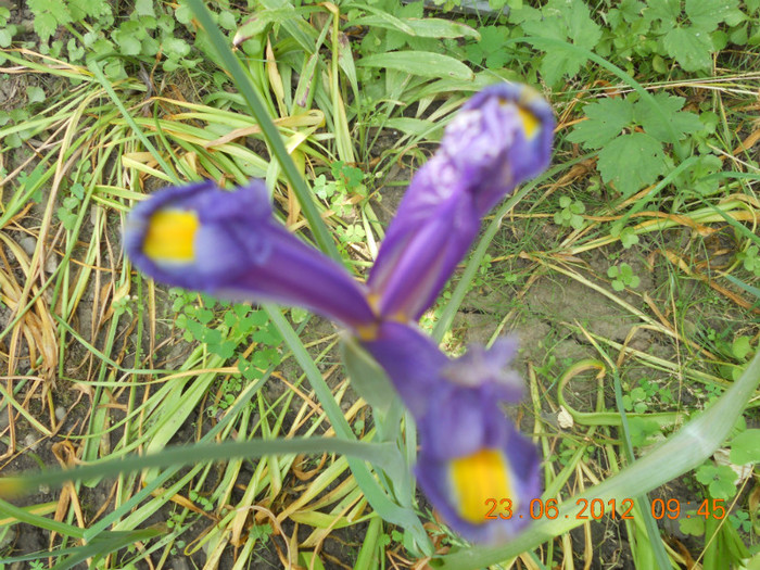 DSCN1502